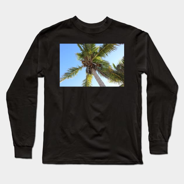 Florida Coconut Palm Long Sleeve T-Shirt by somekindofguru